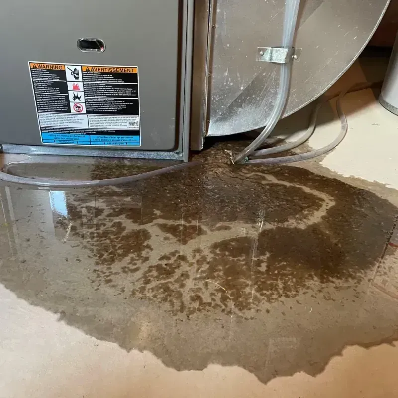 Appliance Leak Cleanup in Eureka Mill, SC